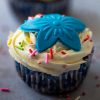 Winter Cup Cakes (Box of 4)